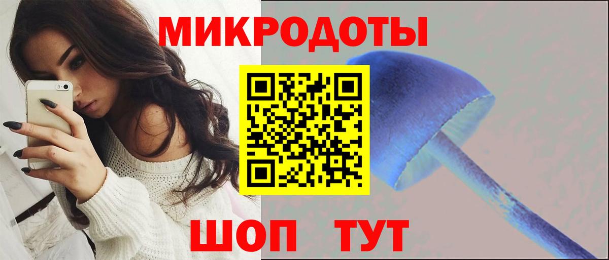 Галлюциногенные грибы MAGIC MUSHROOMS  Вход с VPN  Вязники  Псилоцибиновые грибы Cubensis 