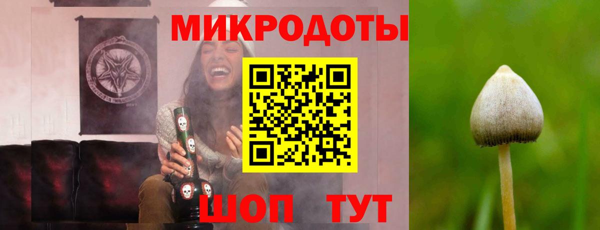 Псилоцибиновые грибы Cubensis Вязники